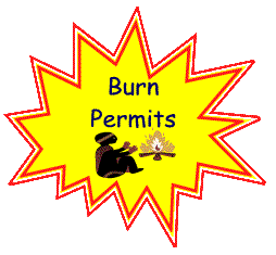 Acton (Maine) Fire Department - Burn Permit Info
